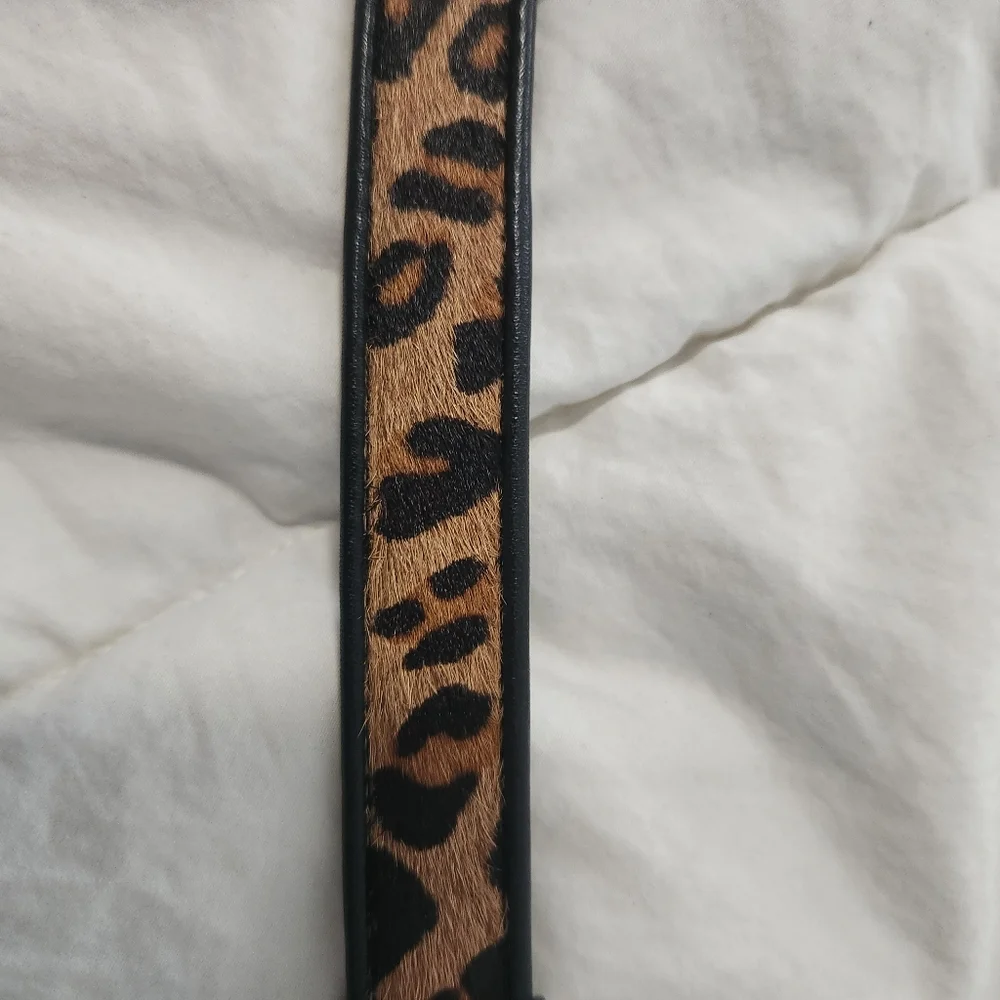 Brighton Animal Print Leather Belt in Brown, Black & White